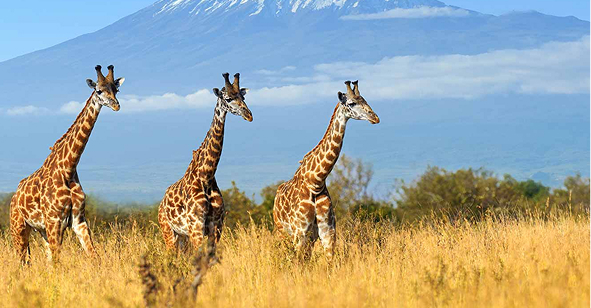 Boat apartment Hoop gallery image 2